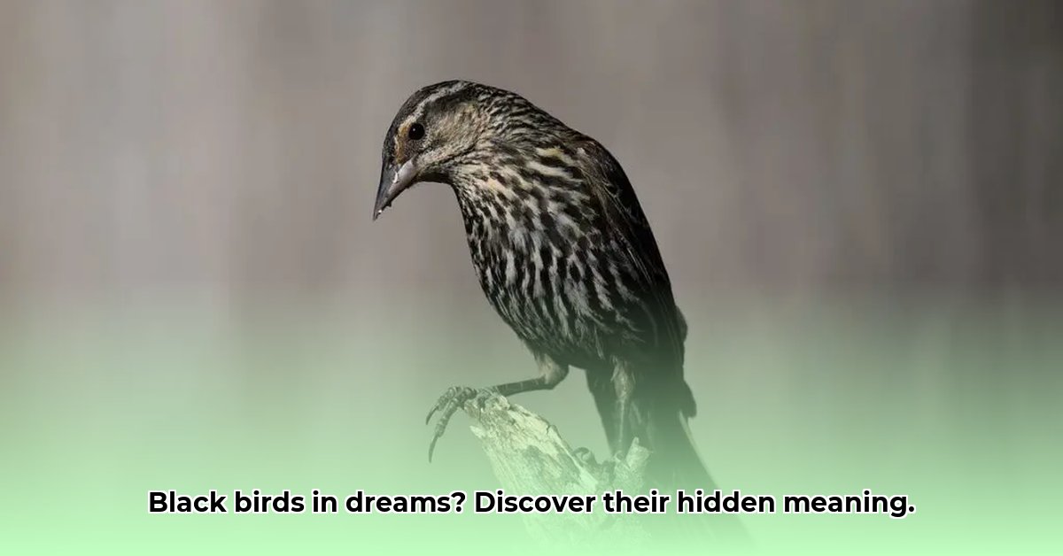 biblical-meaning-of-black-birds-in-dreams